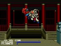 Fighting Masters